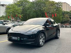 Tesla Model Y Long Range Edition - ფოტო 1