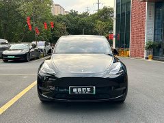 Tesla Model Y Long Range Edition - ფოტო 2