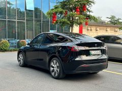 Tesla Model Y Long Range Edition - ფოტო 4