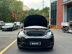 Tesla Model Y Long Range Edition - ფოტო 6