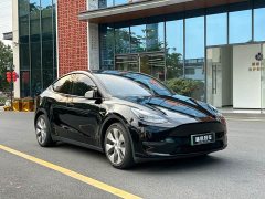 Tesla Model Y Long Range Edition - ფოტო 7