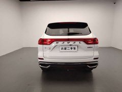 Haval M6 PLUS 1.5T DCT Version - ფოტო 6