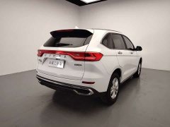 Haval M6 PLUS 1.5T DCT Version - ფოტო 7