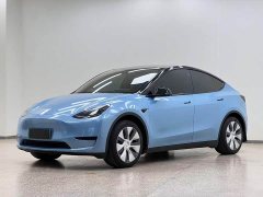 Tesla Model Y Edition - ფოტო 1