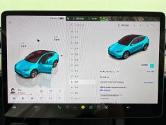 Tesla Model Y Edition - ფოტო 15