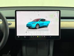Tesla Model Y Edition - ფოტო 17