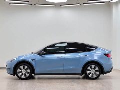 Tesla Model Y Edition - ფოტო 20