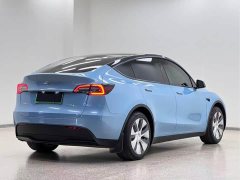 Tesla Model Y Edition - ფოტო 4