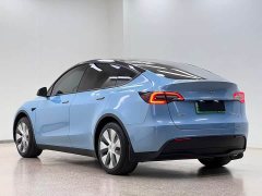 Tesla Model Y Edition - ფოტო 6