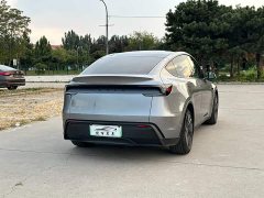 Tesla Model Y Edition - ფოტო 6