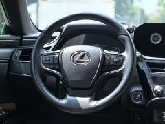 Lexus ES 300h Edition - ფოტო 11