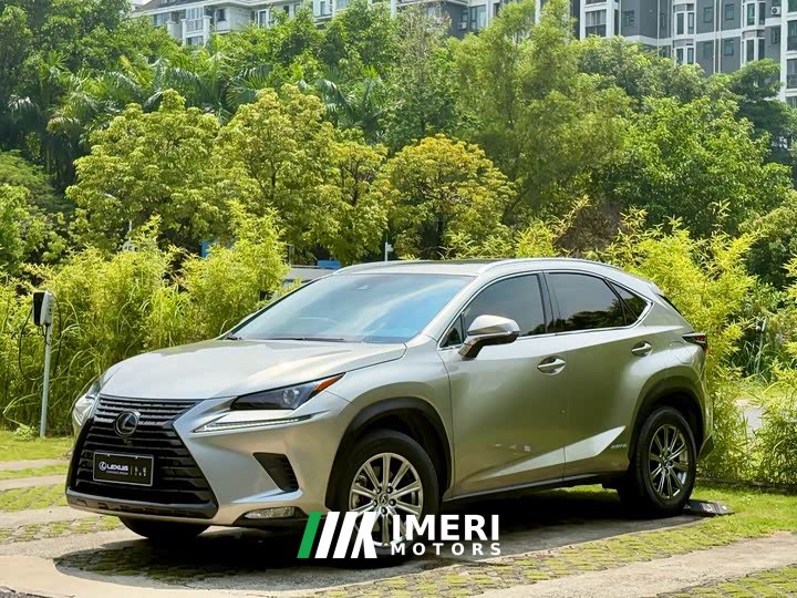 Lexus NX 300h Edition VI - ავტომობილი ჩინეთიდან