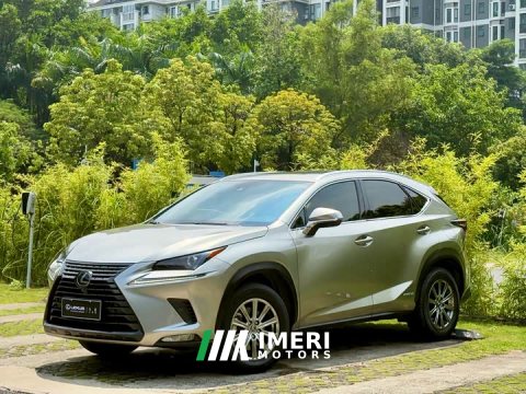2021 Lexus NX 300h Edition VI - ავტომობილი ჩინეთიდან