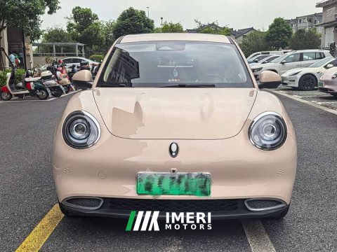 2024 Ora 401kmStandard Range Version - ავტომობილი ჩინეთიდან