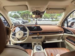 Ora 401kmStandard Range Version - ფოტო 4