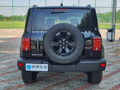 Tank 300 Off-Road Edition 2.0T - ფოტო 15