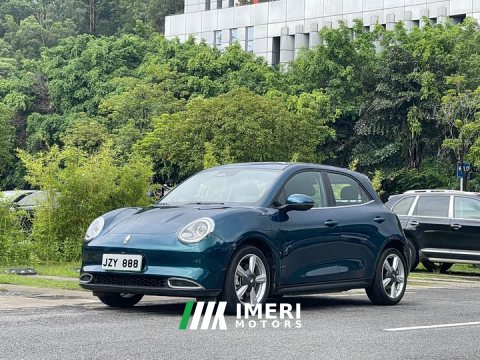 2021 Ora 400kmStandard Range Edition - ავტომობილი ჩინეთიდან