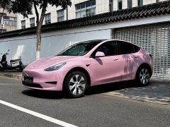 Tesla Model Y Edition - ფოტო 1