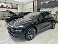 Tesla Model Y Edition - ფოტო 1