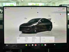 Tesla Model Y Edition - ფოტო 10