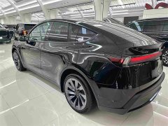 Tesla Model Y Edition - ფოტო 19