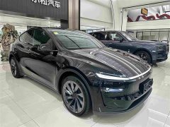 Tesla Model Y Edition - ფოტო 3