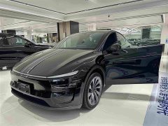 Tesla Model Y Edition - ფოტო 6