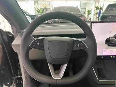 Tesla Model Y Edition - ფოტო 9
