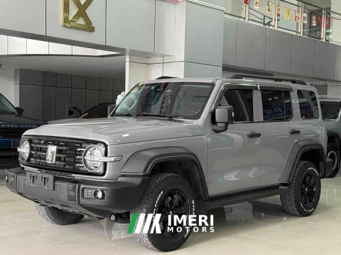 2021 Tank 300 Off-Road Edition 2.0T - ავტომობილი ჩინეთიდან