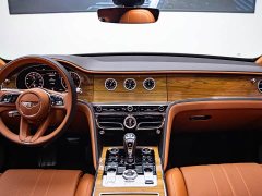 Leapmotor 4.0T V8 Edition - ფოტო 7