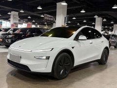 Tesla Model Y Edition - ფოტო 1