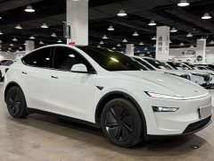 Tesla Model Y Edition - ფოტო 3