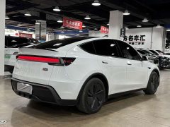 Tesla Model Y Edition - ფოტო 9