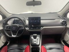 BYD Pro 401KM Luxury Version - ფოტო 11