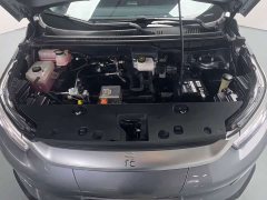 BYD Pro 401KM Luxury Version - ფოტო 14