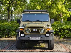 BYD 212 2.4T - ფოტო 2