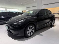 Tesla Model Y Edition - ფოტო 1