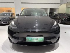 Tesla Model Y Edition - ფოტო 2