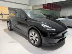 Tesla Model Y Edition - ფოტო 3
