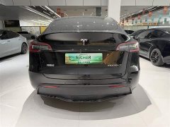 Tesla Model Y Edition - ფოტო 4