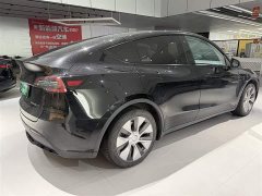 Tesla Model Y Edition - ფოტო 5