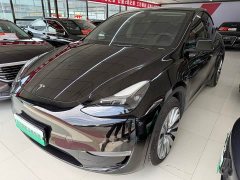 Tesla Model Y Standard Range Edition - ფოტო 1