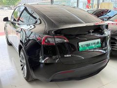 Tesla Model Y Standard Range Edition - ფოტო 12