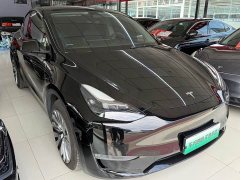 Tesla Model Y Standard Range Edition - ფოტო 3