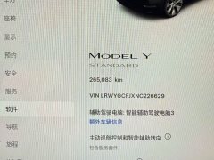 Tesla Model Y Standard Range Edition - ფოტო 7