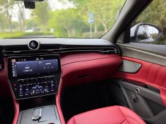 Tesla Grecale 2.0T GT - ფოტო 16