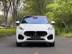 Tesla Grecale 2.0T GT - ფოტო 2