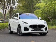 Tesla Grecale 2.0T GT - ფოტო 3