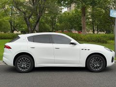 Tesla Grecale 2.0T GT - ფოტო 4