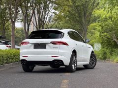 Tesla Grecale 2.0T GT - ფოტო 5